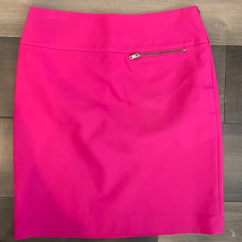 NWOT Ann Taylor Skirt